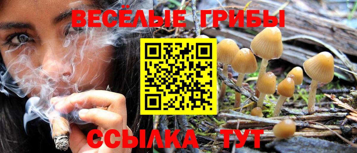 Лыткарино  Галлюциногенные грибы ЛСД  Вход с VPN 